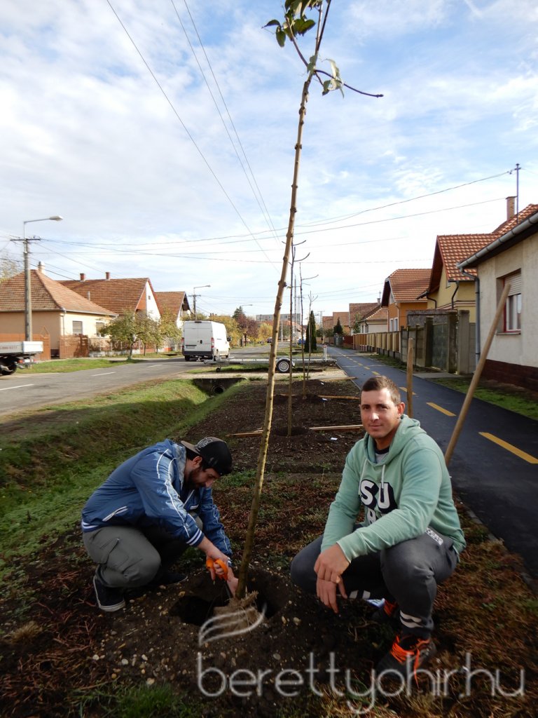 Közösségi faültetés Berettyóújfaluban 51